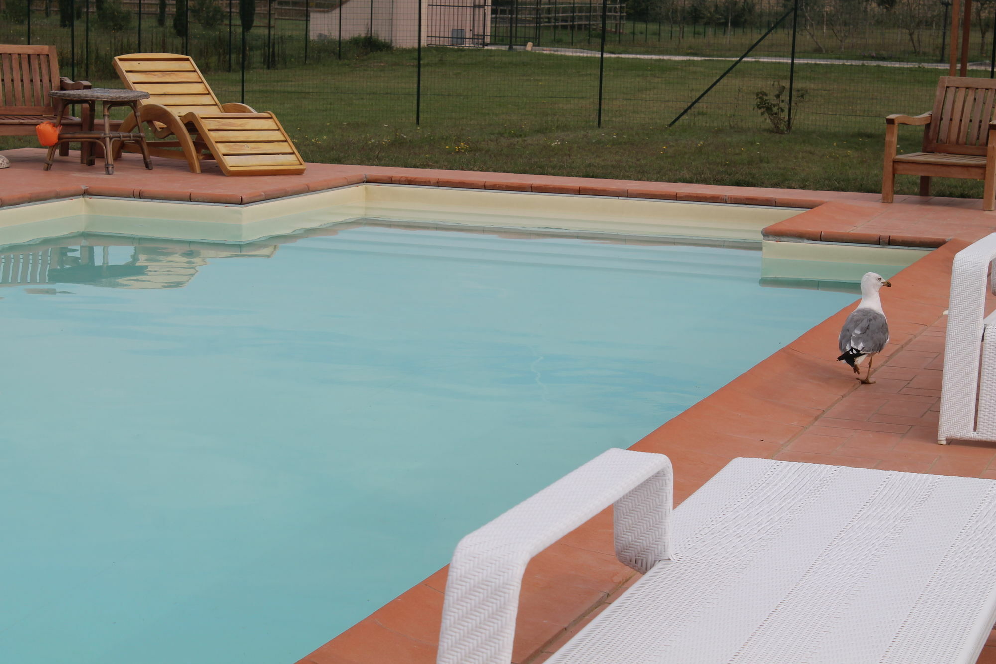 Il Grifone A Cortona Residence Ngoại thất bức ảnh